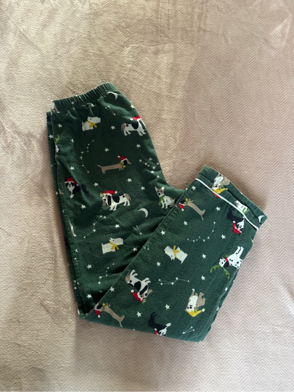 The Company Store Kids Green Dog Print Pajama Pants - size 14/16